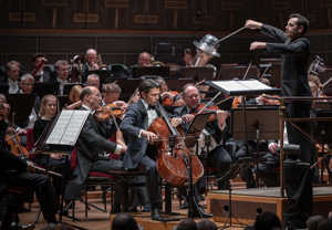 Man playing cello. Photo.